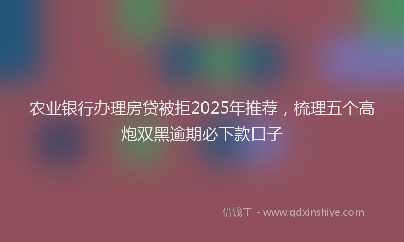 农业银行办理房贷被拒2025年推荐，梳理五个高炮双黑逾期必下款口子