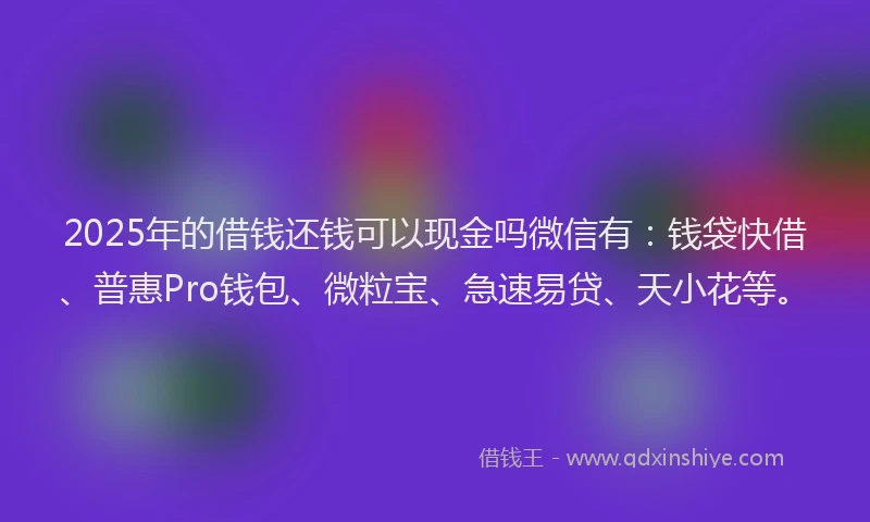 2025年的借钱还钱可以现金吗微信有：钱袋快借、普惠Pro钱包、微粒宝、急速易贷、天小花等。