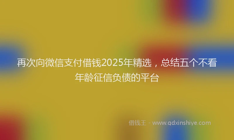 再次向微信支付借钱2025年精选，总结五个不看年龄征信负债的平台