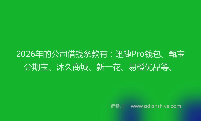 2026年的公司借钱条款有：迅捷Pro钱包、甄宝分期宝、沐久商城、新一花、易橙优品等。