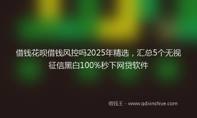 借钱花呗借钱风控吗2025年精选，汇总5个无视征信黑白100%秒下网贷软件