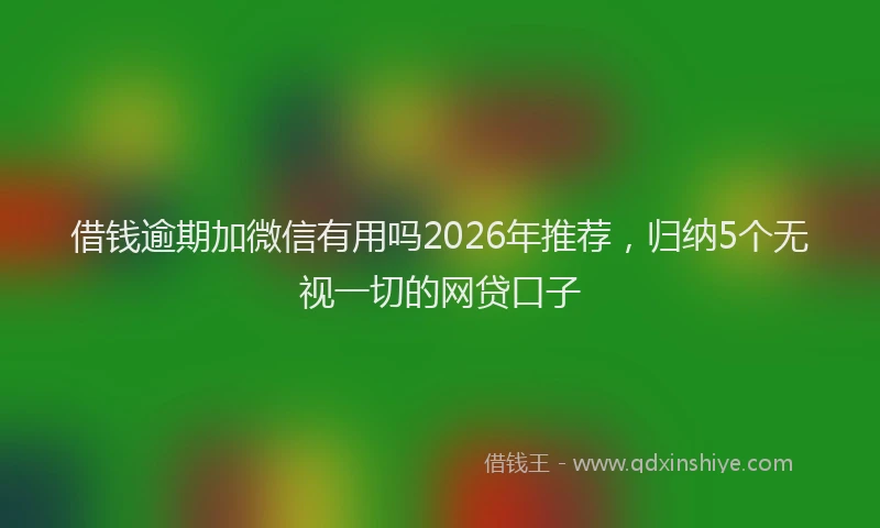 借钱逾期加微信有用吗2026年推荐，归纳5个无视一切的网贷口子