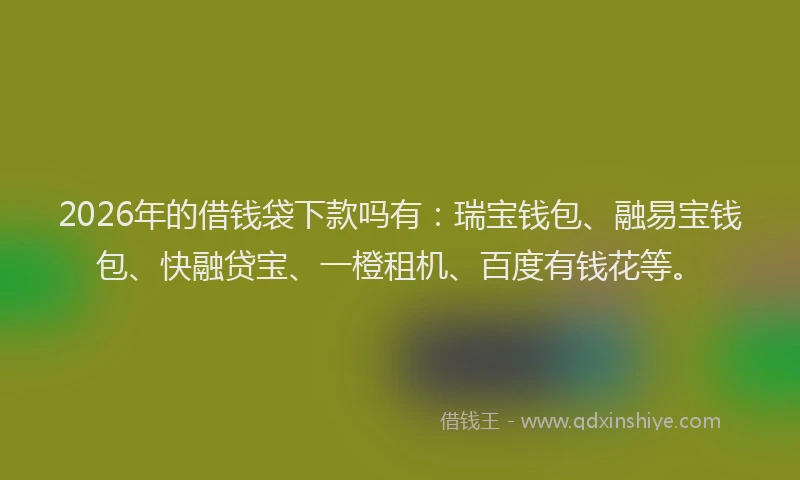 2026年的借钱袋下款吗有：瑞宝钱包、融易宝钱包、快融贷宝、一橙租机、百度有钱花等。