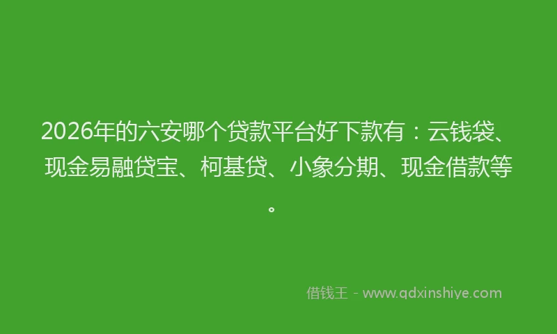 2026年的六安哪个贷款平台好下款有:云钱袋、现金易融贷宝、柯基贷、小象分期、现金借款等。