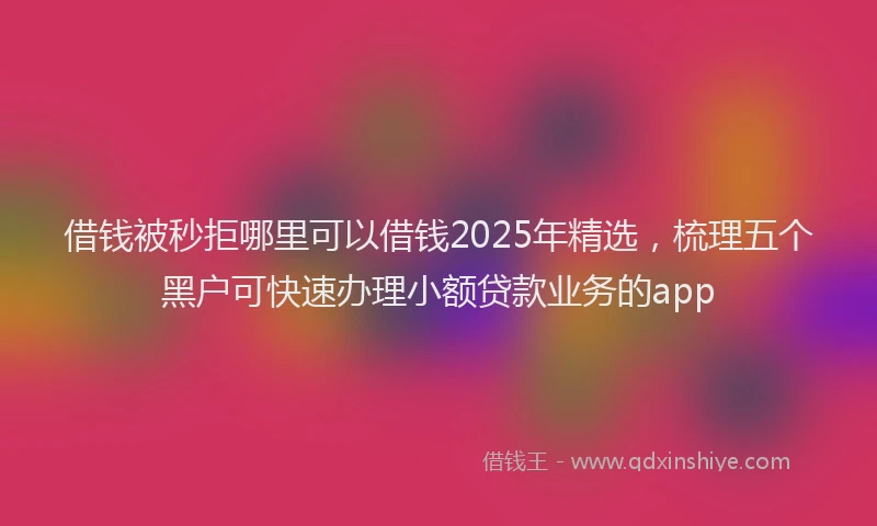 借钱被秒拒哪里可以借钱2025年精选，梳理五个黑户可快速办理小额贷款业务的app