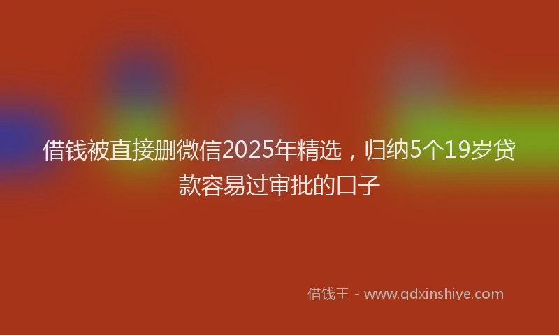 借钱被直接删微信2025年精选，归纳5个19岁贷款容易过审批的口子