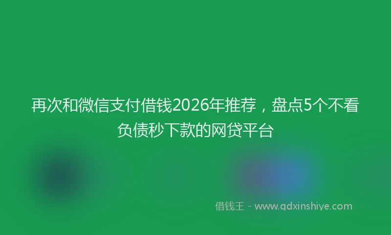 再次和微信支付借钱2026年推荐，盘点5个不看负债秒下款的网贷平台