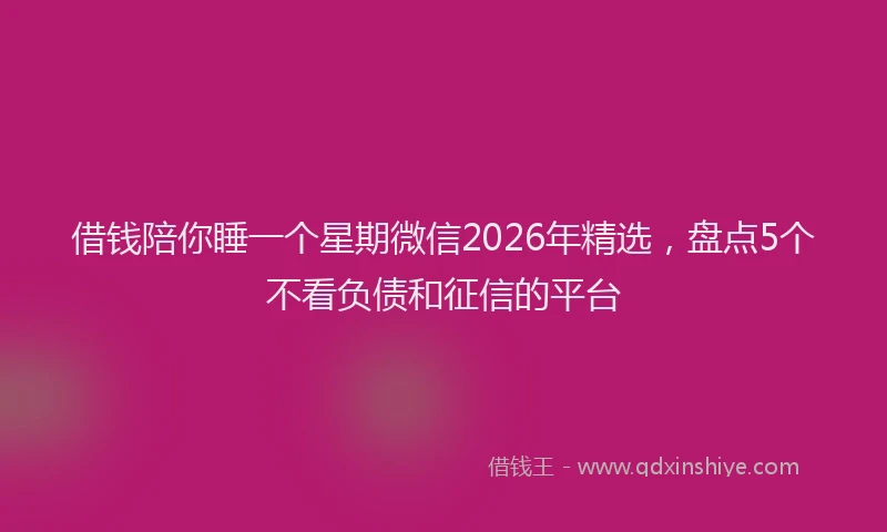 借钱陪你睡一个星期微信2026年精选，盘点5个不看负债和征信的平台