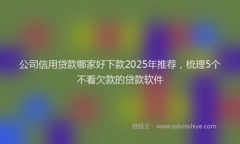 公司信用贷款哪家好下款2025年推荐，梳理5个不看欠款的贷款软件