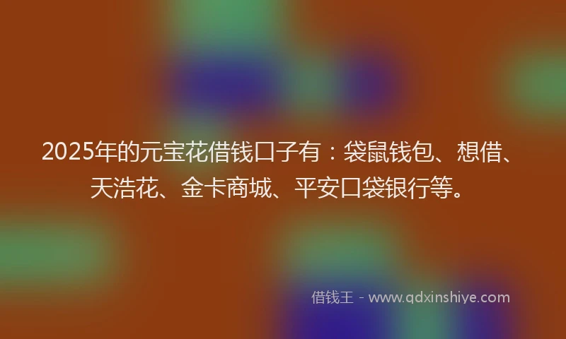 2025年的元宝花借钱口子有：袋鼠钱包、想借、天浩花、金卡商城、平安口袋银行等。