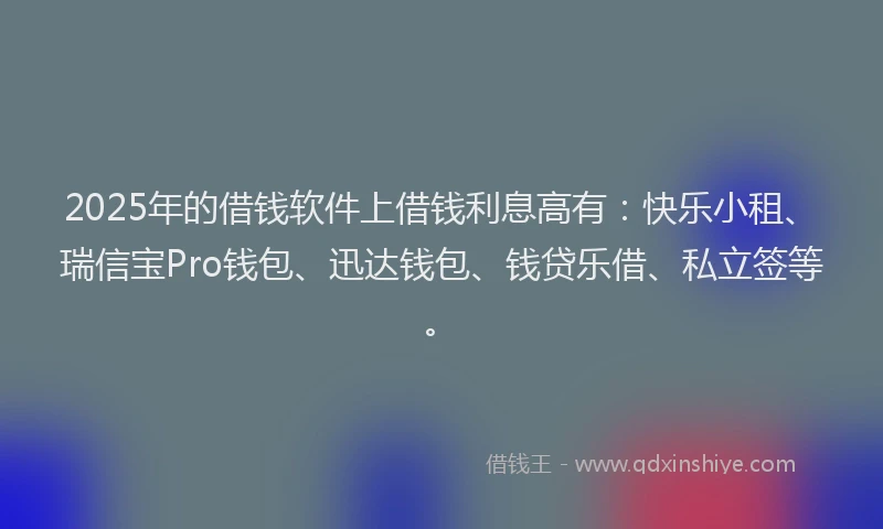 2025年的借钱软件上借钱利息高有：快乐小租、瑞信宝Pro钱包、迅达钱包、钱贷乐借、私立签等。