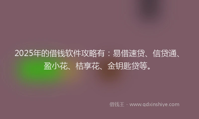 2025年的借钱软件攻略有:易借速贷、信贷通、盈小花、桔享花、金钥匙贷等。
