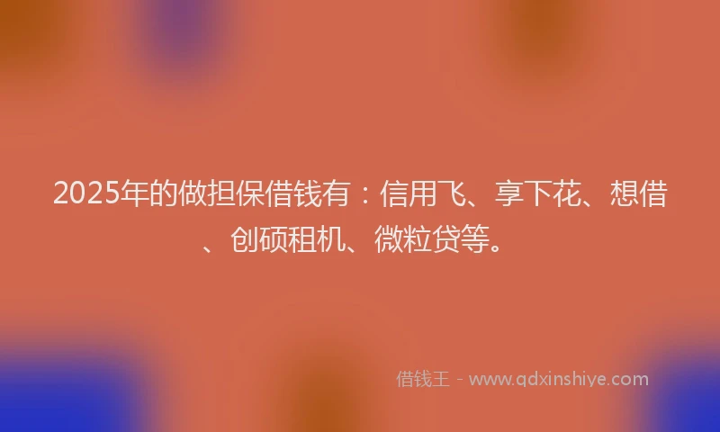 2025年的做担保借钱有：信用飞、享下花、想借、创硕租机、微粒贷等。
