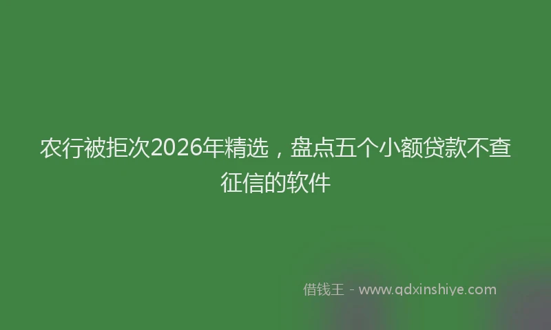 农行被拒次2026年精选，盘点五个小额贷款不查征信的软件
