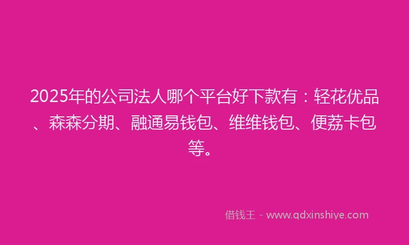 2025年的公司法人哪个平台好下款有：轻花优品、森森分期、融通易钱包、维维钱包、便荔卡包等。
