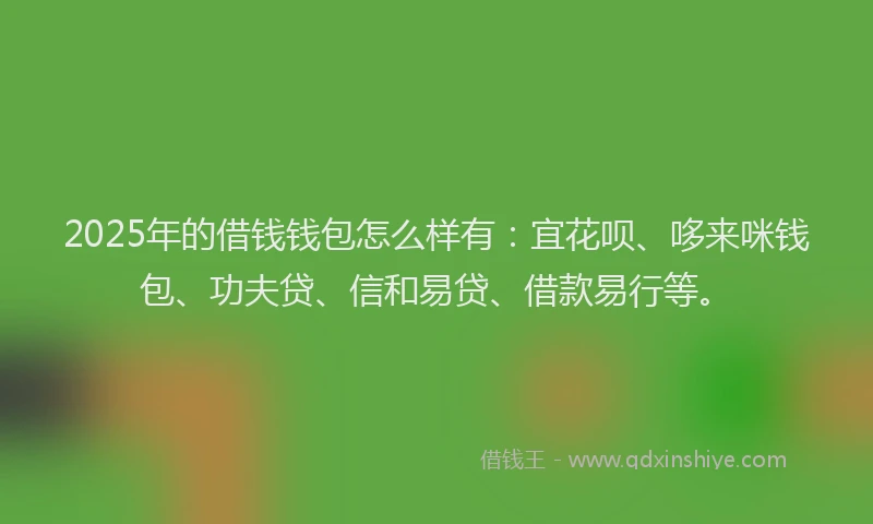 2025年的借钱钱包怎么样有:宜花呗、哆来咪钱包、功夫贷、信和易贷、借款易行等。