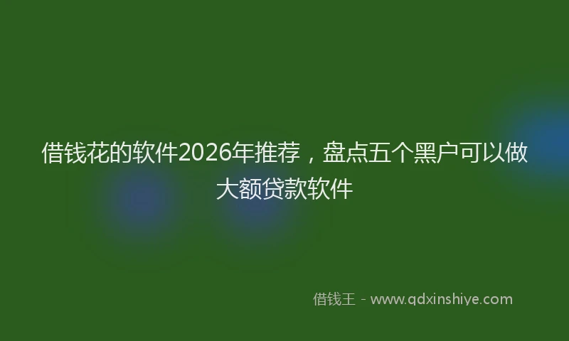 借钱花的软件2026年推荐，盘点五个黑户可以做大额贷款软件