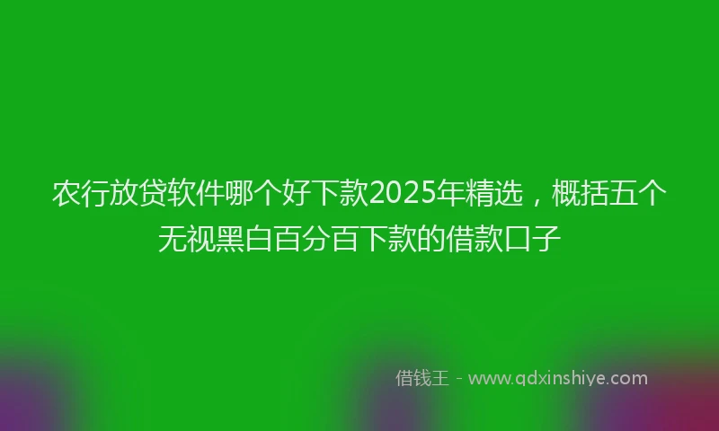 农行放贷软件哪个好下款2025年精选，概括五个无视黑白百分百下款的借款口子