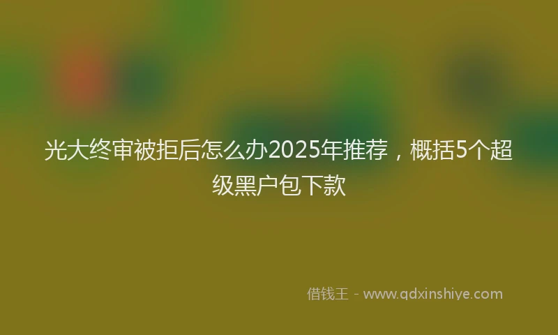 光大终审被拒后怎么办2025年推荐，概括5个超级黑户包下款