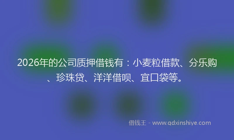 2026年的公司质押借钱有：小麦粒借款、分乐购、珍珠贷、洋洋借呗、宜口袋等。