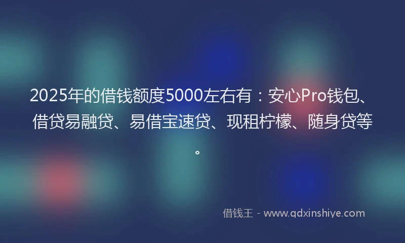 2025年的借钱额度5000左右有：安心Pro钱包、借贷易融贷、易借宝速贷、现租柠檬、随身贷等。