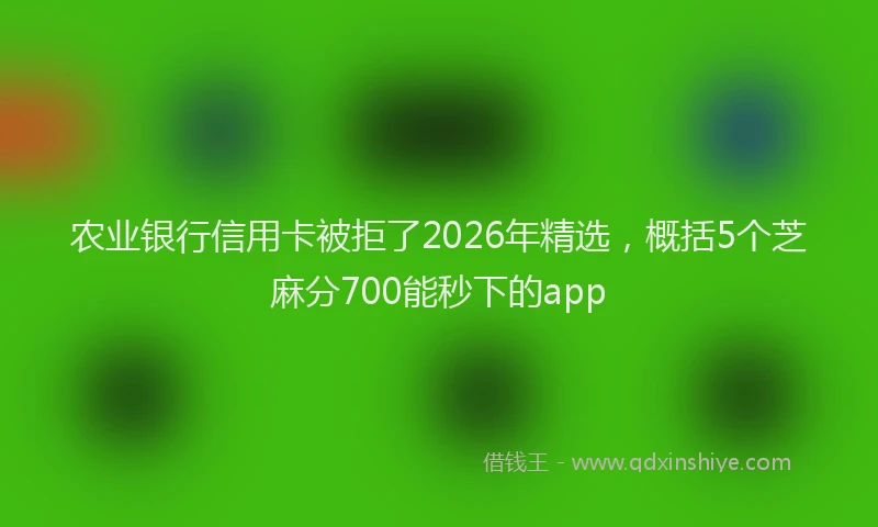 农业银行信用卡被拒了2026年精选，概括5个芝麻分700能秒下的app
