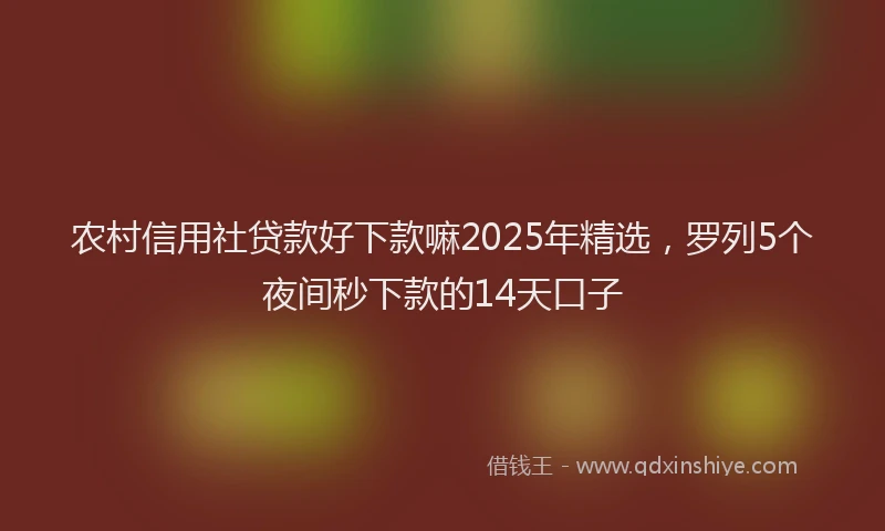 农村信用社贷款好下款嘛2025年精选，罗列5个夜间秒下款的14天口子