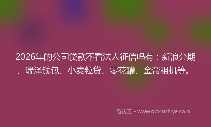 2026年的公司贷款不看法人征信吗有：新浪分期、瑞泽钱包、小麦粒贷、零花罐、金帝租机等。