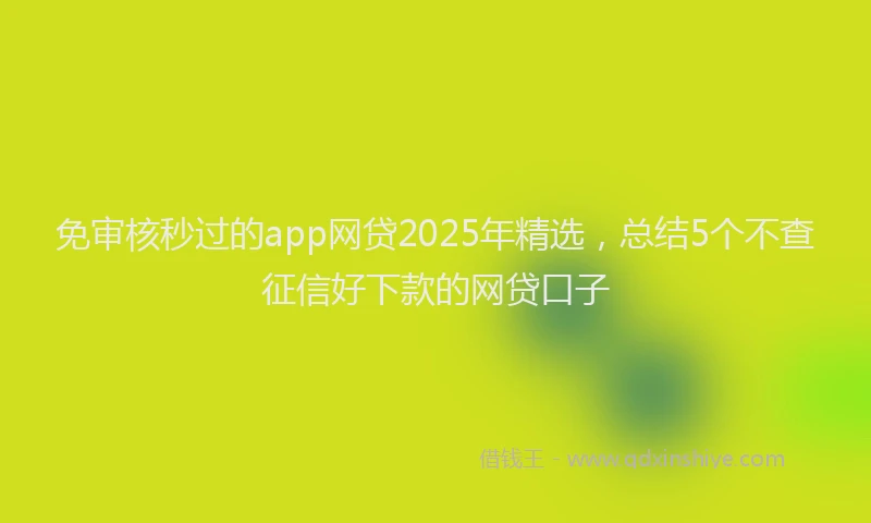 免审核秒过的app网贷2025年精选,总结5个不查征信好下款的网贷口子