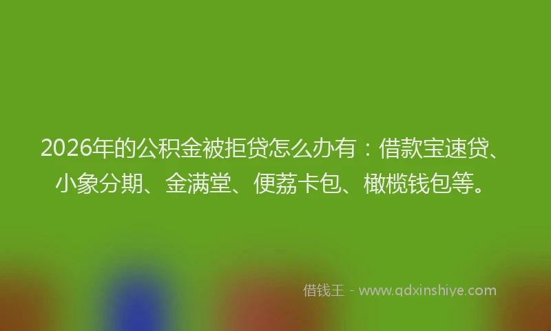 2026年的公积金被拒贷怎么办有：借款宝速贷、小象分期、金满堂、便荔卡包、橄榄钱包等。