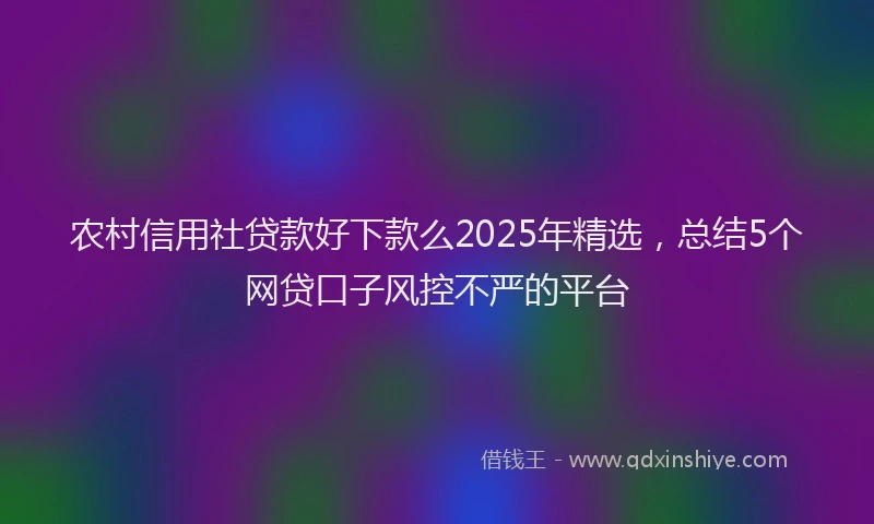农村信用社贷款好下款么2025年精选，总结5个网贷口子风控不严的平台