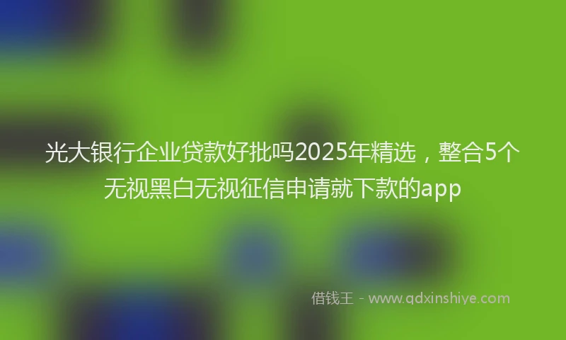 光大银行企业贷款好批吗2025年精选，整合5个无视黑白无视征信申请就下款的app