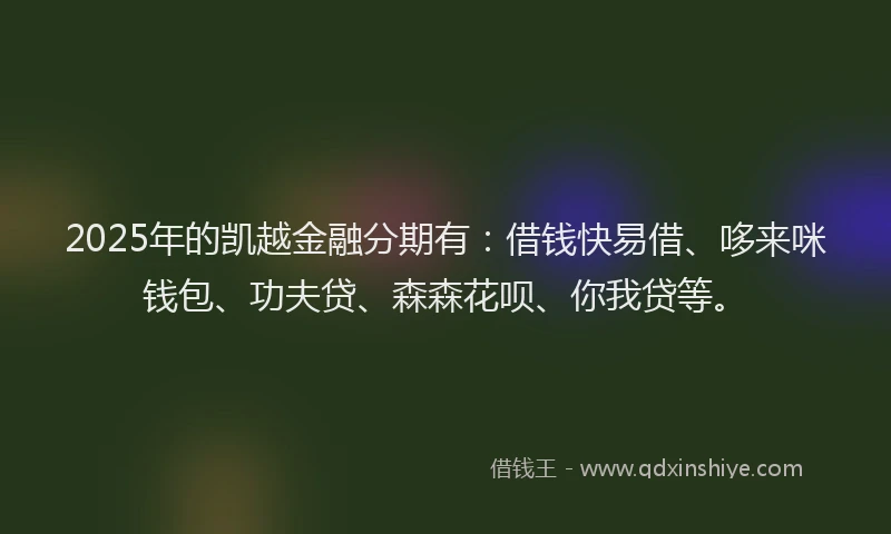 2025年的凯越金融分期有：借钱快易借、哆来咪钱包、功夫贷、森森花呗、你我贷等。