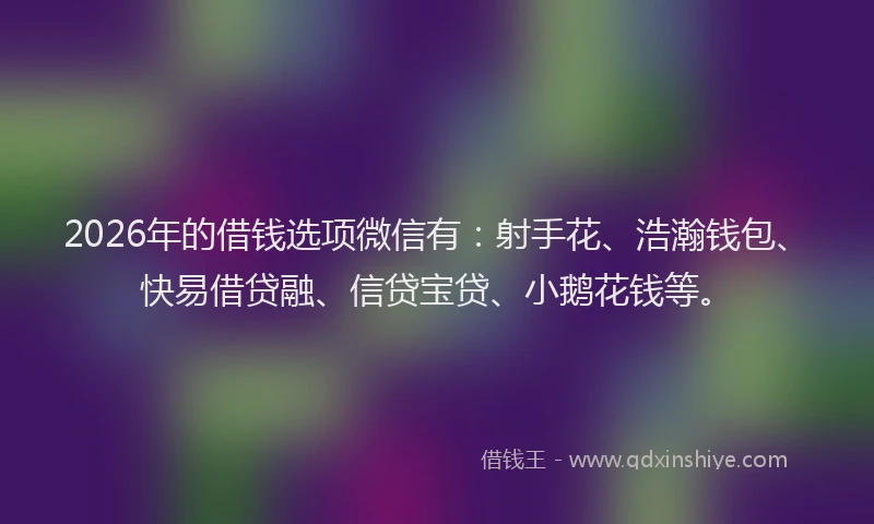 2026年的借钱选项微信有：射手花、浩瀚钱包、快易借贷融、信贷宝贷、小鹅花钱等。