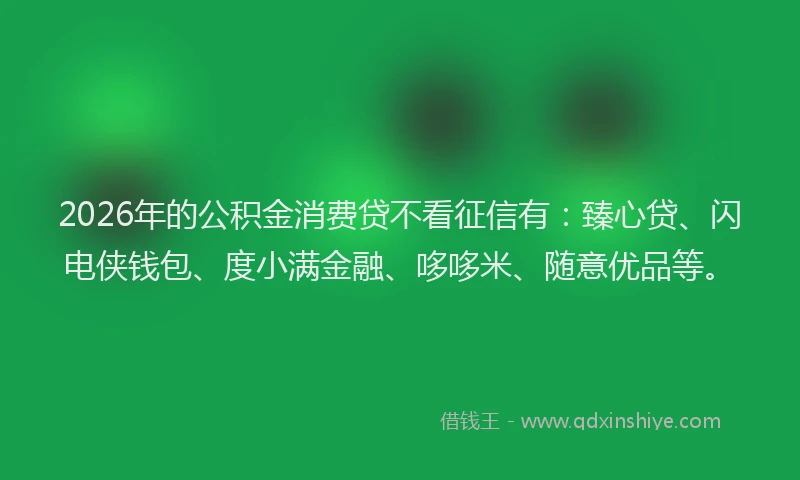 2026年的公积金消费贷不看征信有：臻心贷、闪电侠钱包、度小满金融、哆哆米、随意优品等。