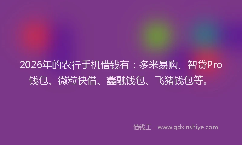 2026年的农行手机借钱有：多米易购、智贷Pro钱包、微粒快借、鑫融钱包、飞猪钱包等。