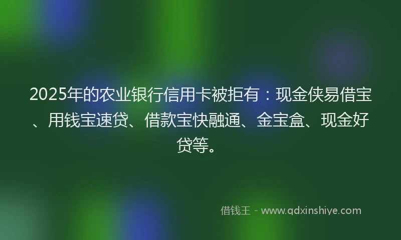 2025年的农业银行信用卡被拒有:现金侠易借宝、用钱宝速贷、借款宝快融通、金宝盒、现金好贷等。