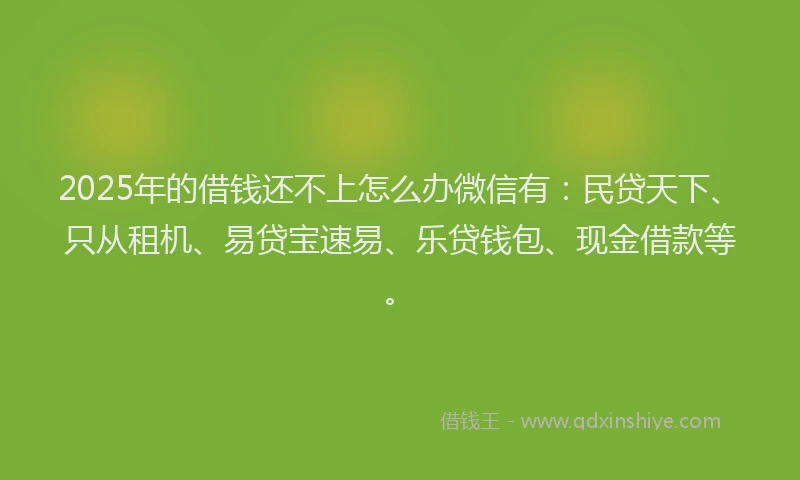 2025年的借钱还不上怎么办微信有：民贷天下、只从租机、易贷宝速易、乐贷钱包、现金借款等。