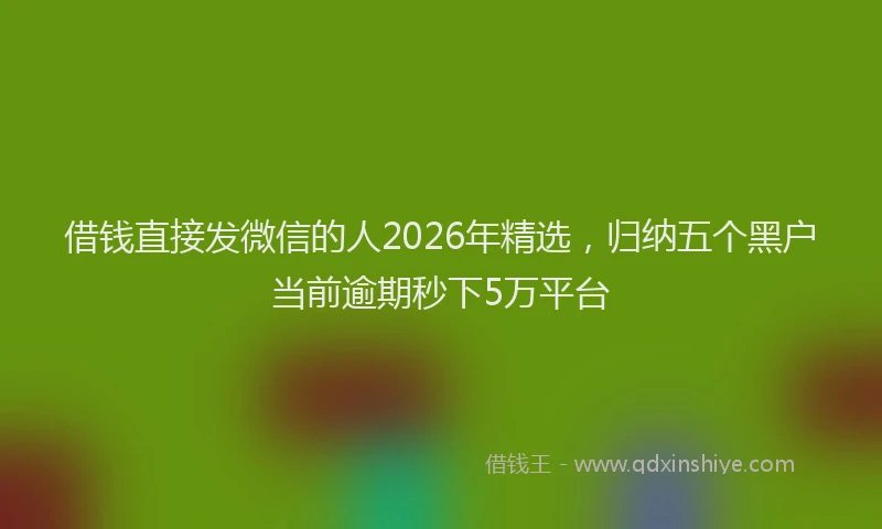 借钱直接发微信的人2026年精选，归纳五个黑户当前逾期秒下5万平台