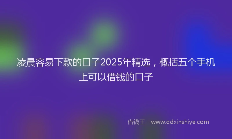 凌晨容易下款的口子2025年精选，概括五个手机上可以借钱的口子