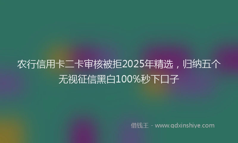 农行信用卡二卡审核被拒2025年精选，归纳五个无视征信黑白100%秒下口子