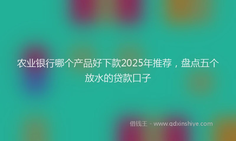 农业银行哪个产品好下款2025年推荐，盘点五个放水的贷款口子