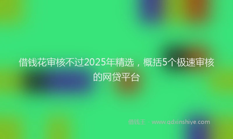 借钱花审核不过2025年精选，概括5个极速审核的网贷平台
