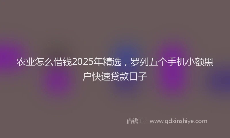 农业怎么借钱2025年精选，罗列五个手机小额黑户快速贷款口子