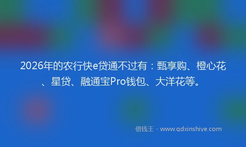 2026年的农行快e贷通不过有：甄享购、橙心花、星贷、融通宝Pro钱包、大洋花等。