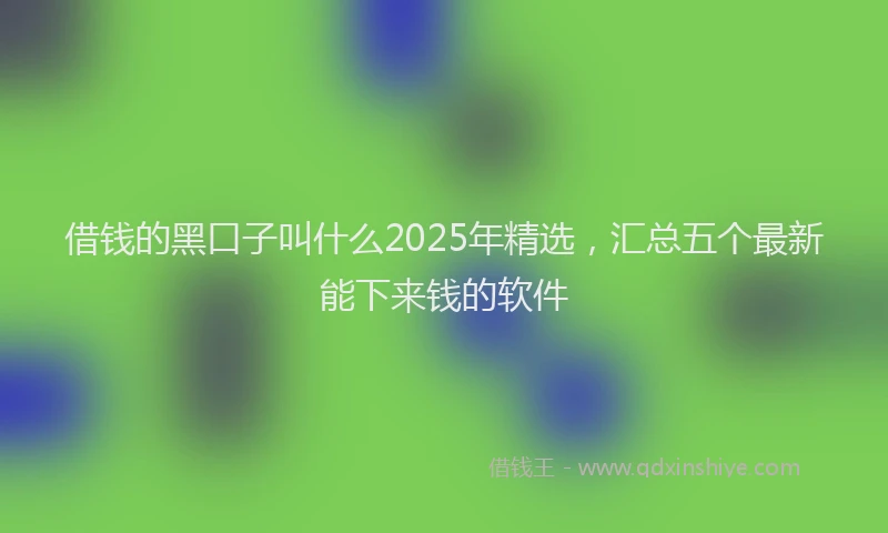 借钱的黑口子叫什么2025年精选，汇总五个最新能下来钱的软件