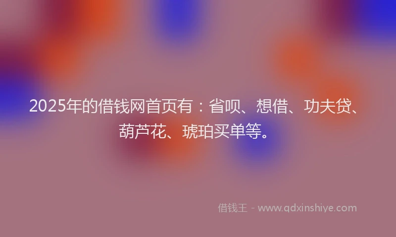 2025年的借钱网首页有：省呗、想借、功夫贷、葫芦花、琥珀买单等。