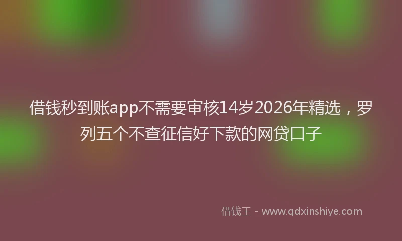 借钱秒到账app不需要审核14岁2026年精选,罗列五个不查征信好下款的网贷口子
