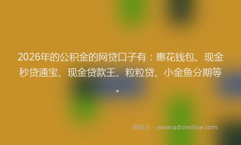 2026年的公积金的网贷口子有：惠花钱包、现金秒贷通宝、现金贷款王、粒粒贷、小金鱼分期等。