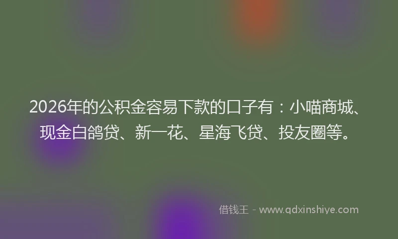 2026年的公积金容易下款的口子有:小喵商城、现金白鸽贷、新一花、星海飞贷、投友圈等。